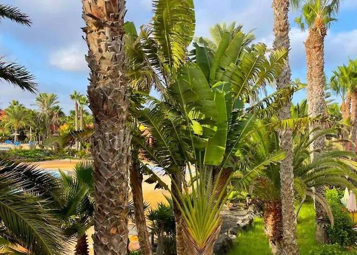 Casa Figli Holiday home Corralejo